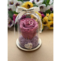 Естествена вечна роза в PVC купол W41