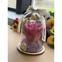 Естествена вечна роза в PVC купол W41