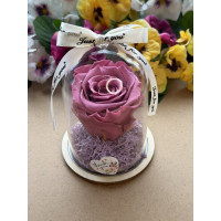 Естествена вечна роза в PVC купол W41