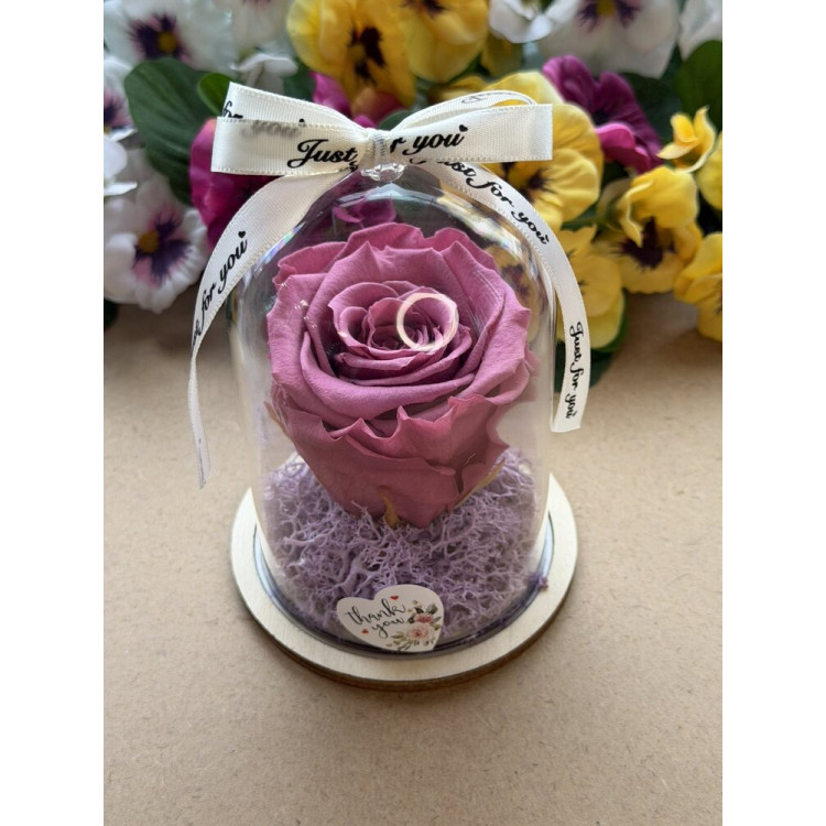 Естествена вечна роза в PVC купол W41