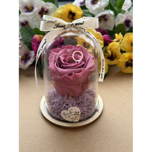 Естествена вечна роза в PVC купол W41