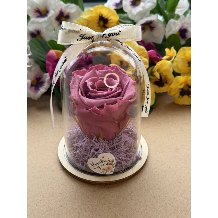 Естествена вечна роза в PVC купол W41