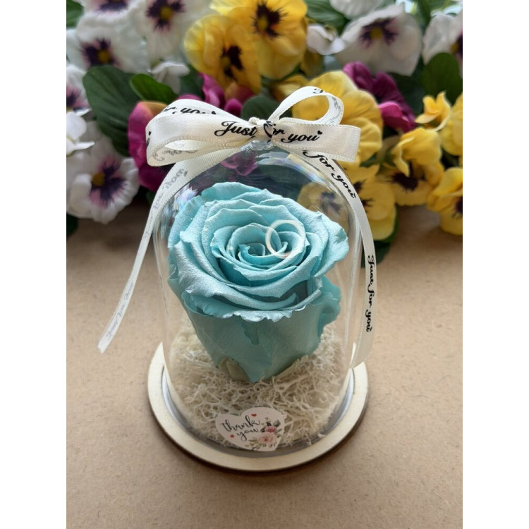 Естествена вечна роза в PVC купол W42