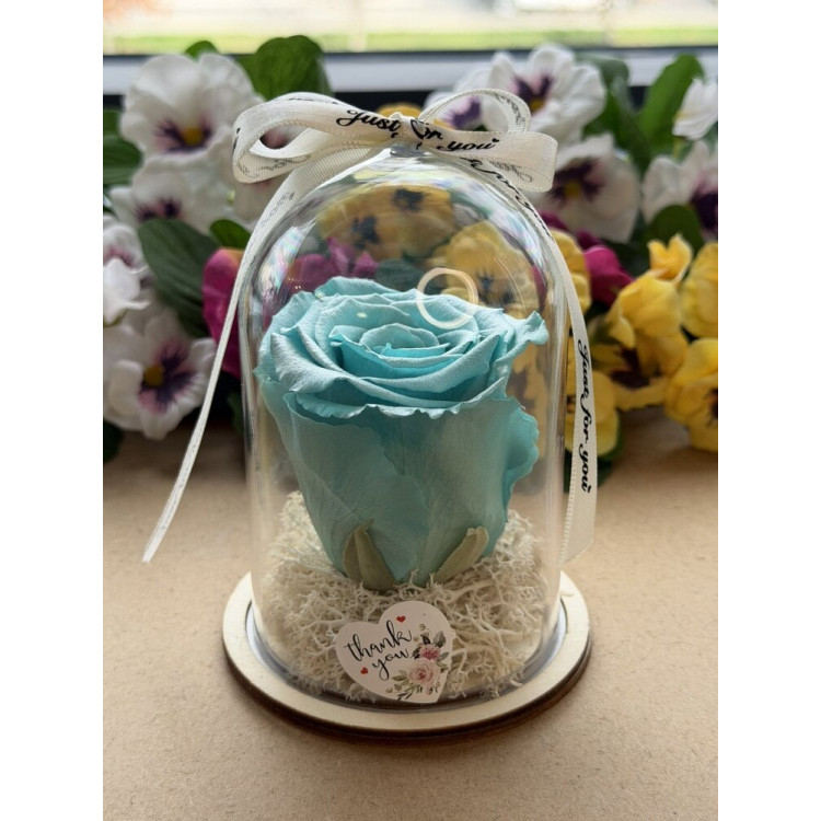 Естествена вечна роза в PVC купол W42