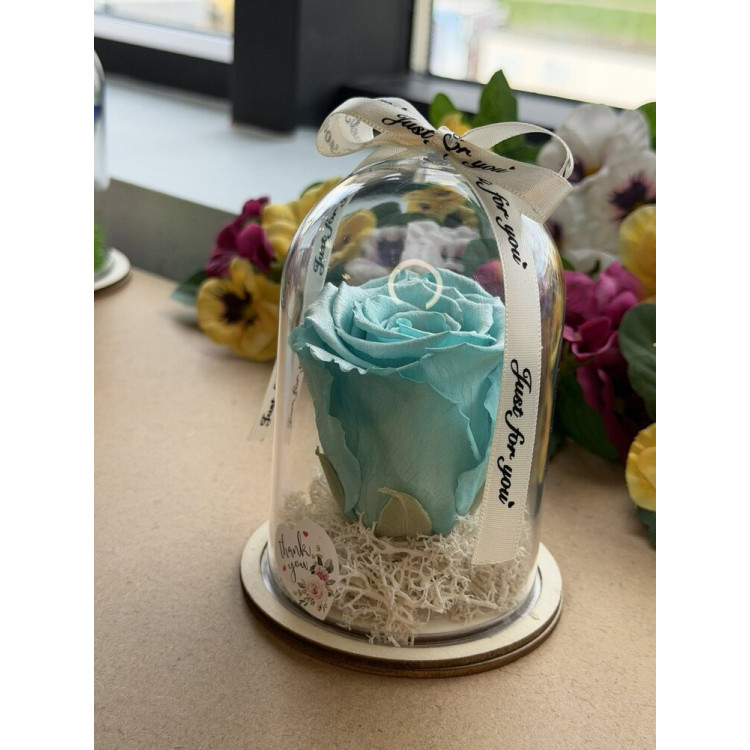 Естествена вечна роза в PVC купол W42