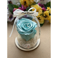 Естествена вечна роза в PVC купол W42