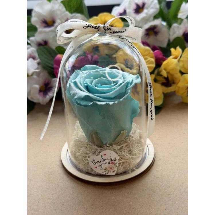 Естествена вечна роза в PVC купол W42