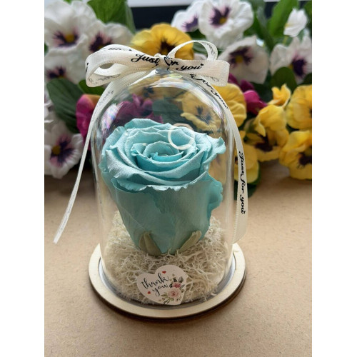 Естествена вечна роза в PVC купол W42