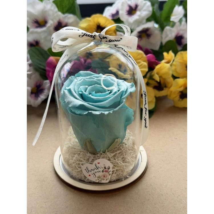 Естествена вечна роза в PVC купол W42