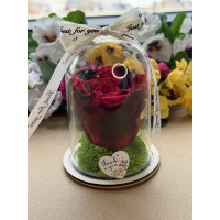 Естествена вечна роза в PVC купол W43