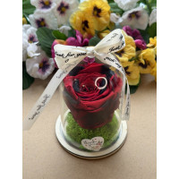 Естествена вечна роза в PVC купол W43