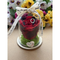 Естествена вечна роза в PVC купол W43