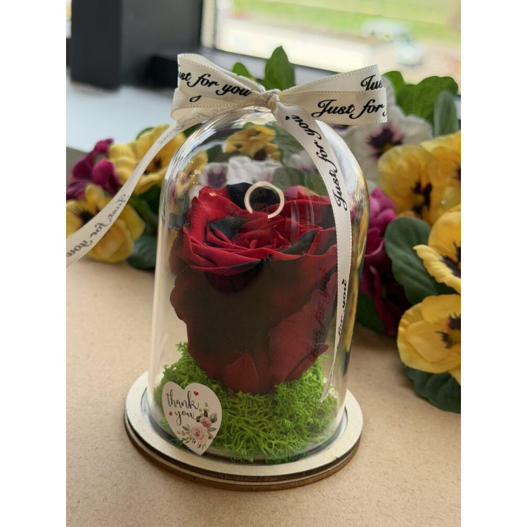 Естествена вечна роза в PVC купол W43