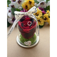 Естествена вечна роза в PVC купол W43