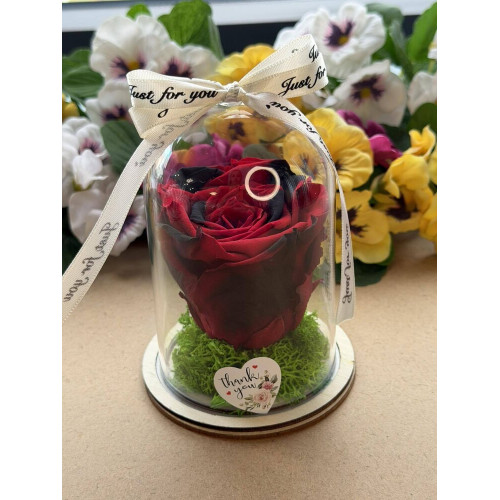 Естествена вечна роза в PVC купол W43