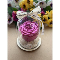 Естествена вечна роза в PVC купол W44