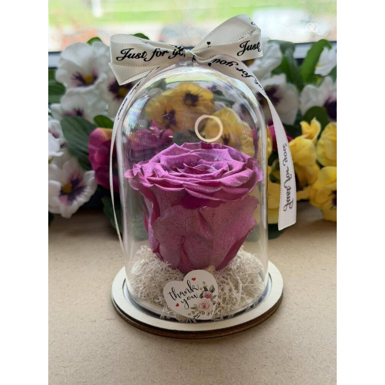 Естествена вечна роза в PVC купол W44