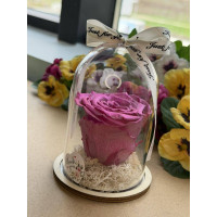 Естествена вечна роза в PVC купол W44