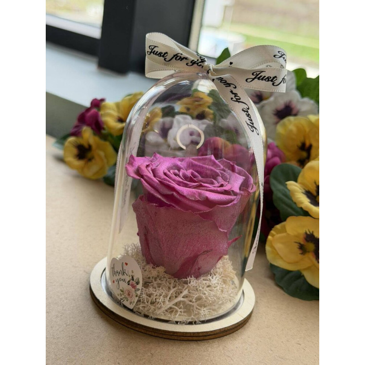 Естествена вечна роза в PVC купол W44