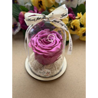 Естествена вечна роза в PVC купол W44