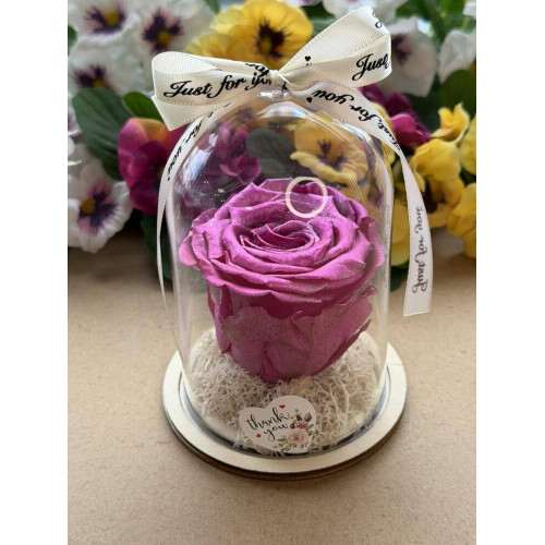 Естествена вечна роза в PVC купол W44