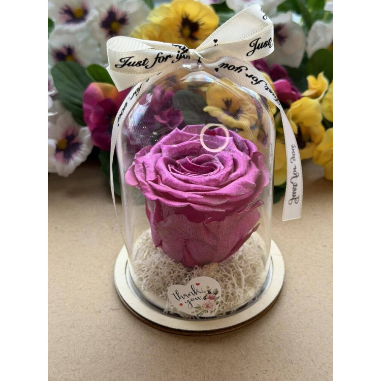 Естествена вечна роза в PVC купол W44