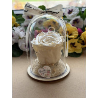 Естествена вечна роза в PVC купол W45