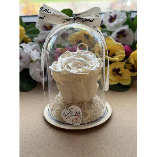 Естествена вечна роза в PVC купол Cho 89