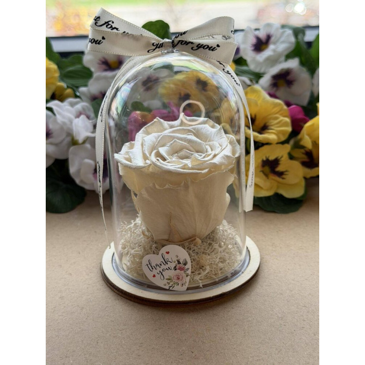 Естествена вечна роза в PVC купол W45