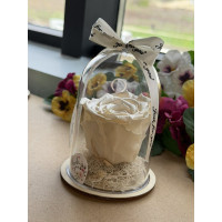 Естествена вечна роза в PVC купол W45