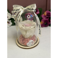 Естествена вечна роза в PVC купол W5