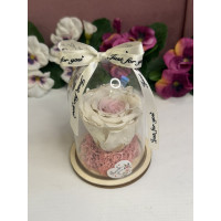 Естествена вечна роза в PVC купол W5