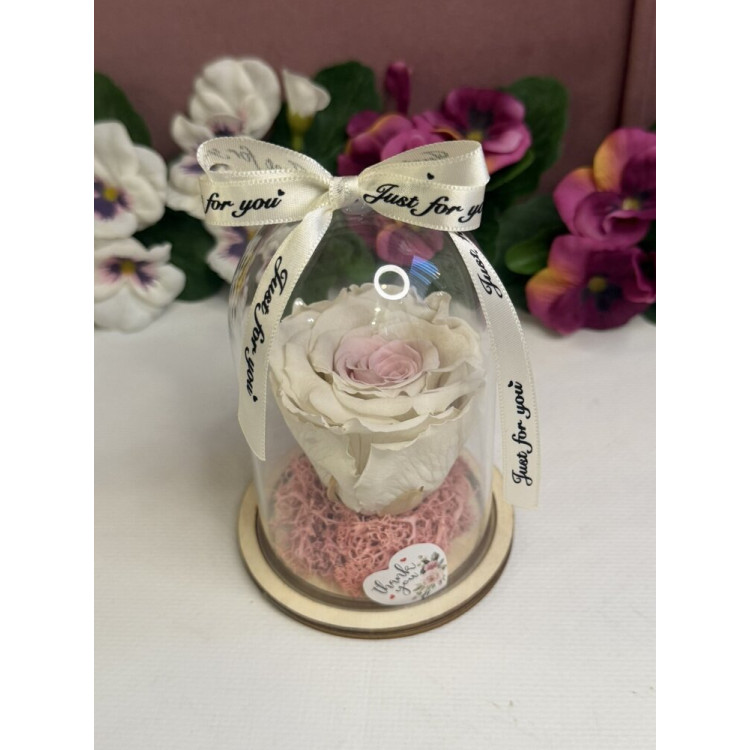 Естествена вечна роза в PVC купол W5