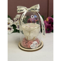 Естествена вечна роза в PVC купол W5