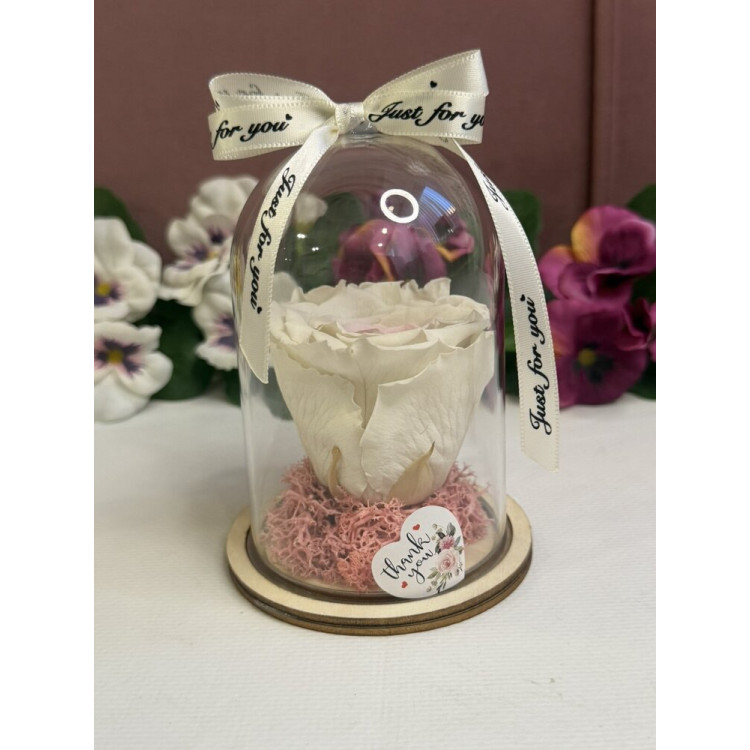 Естествена вечна роза в PVC купол W5