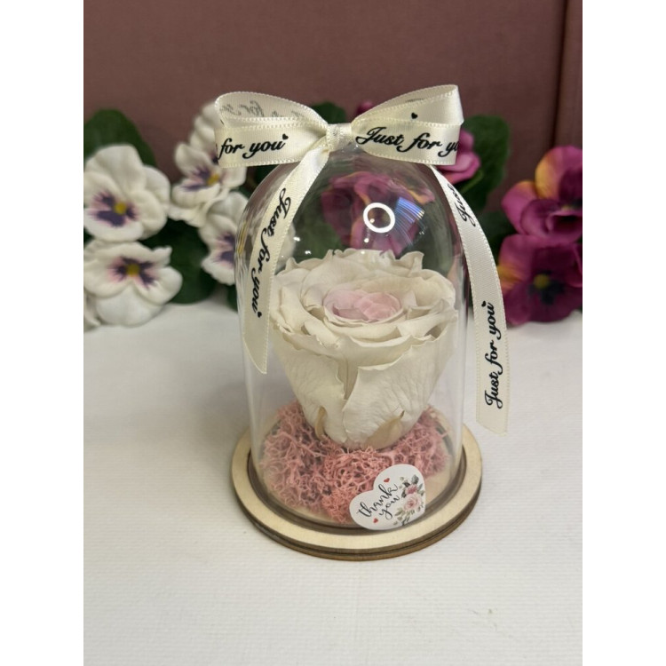 Естествена вечна роза в PVC купол W5