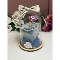 Естествена вечна роза в PVC купол W6