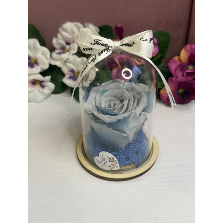 Естествена вечна роза в PVC купол W6