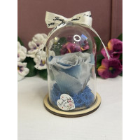 Естествена вечна роза в PVC купол W6