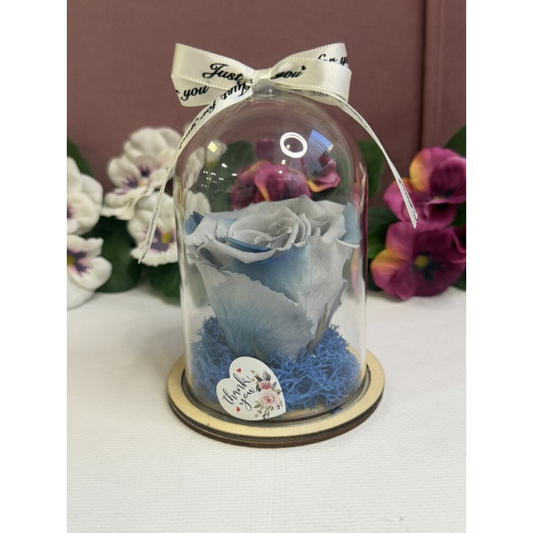 Естествена вечна роза в PVC купол W6