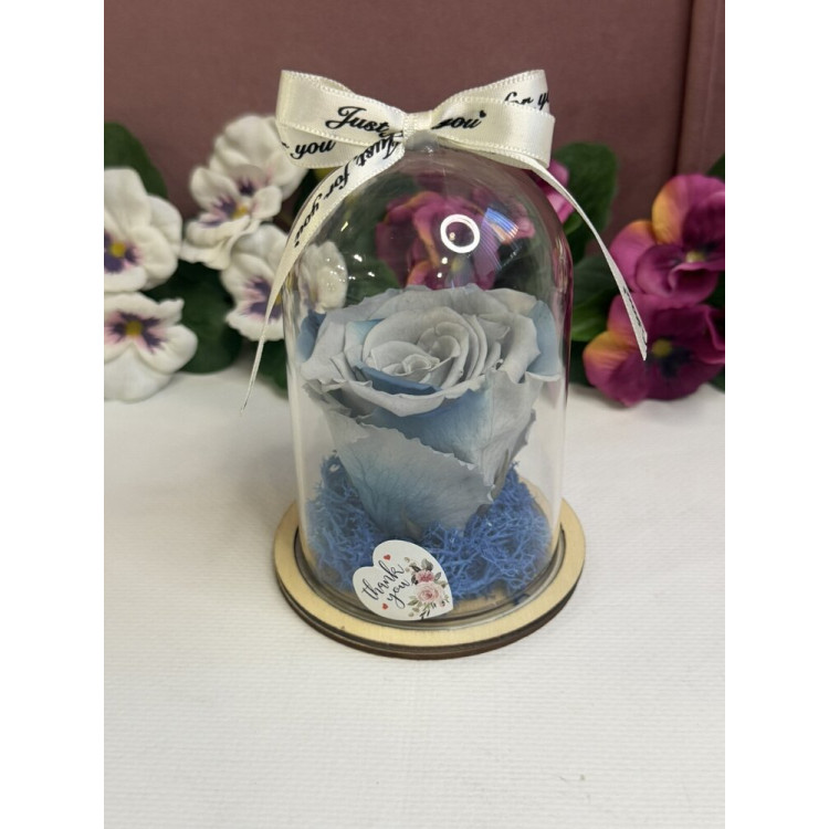 Естествена вечна роза в PVC купол W6