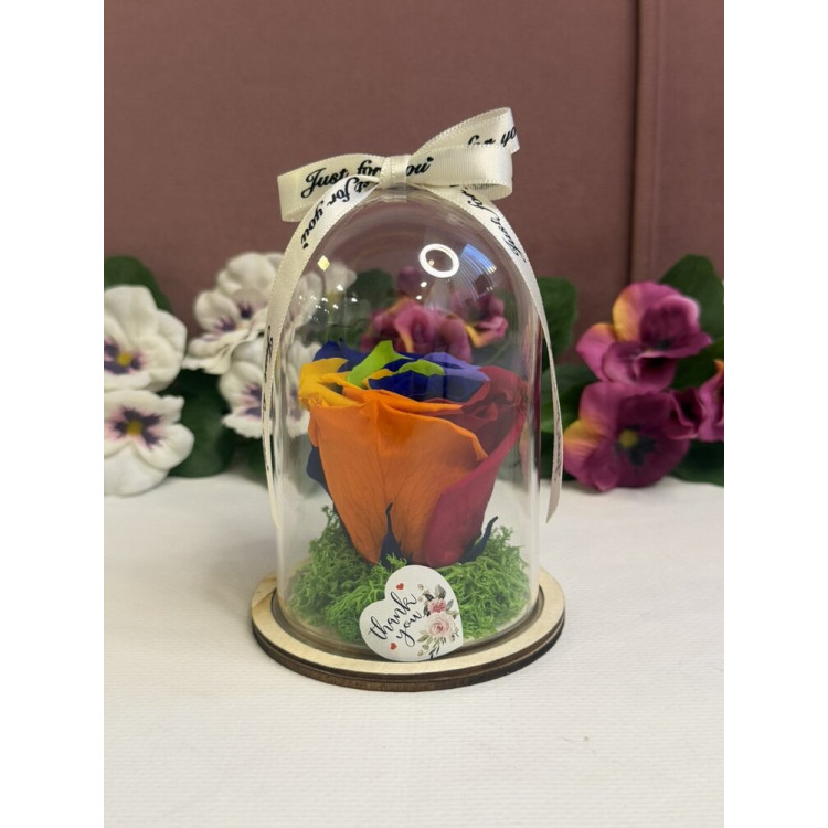 Естествена вечна роза в PVC купол W7