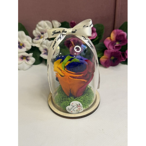 Естествена вечна роза в PVC купол W7