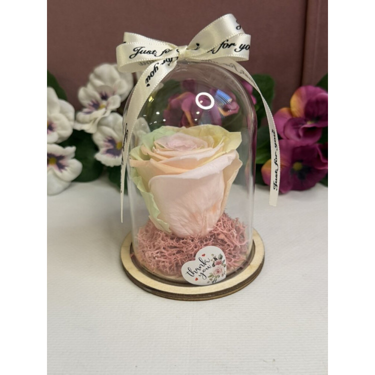 Естествена вечна роза в PVC купол W8