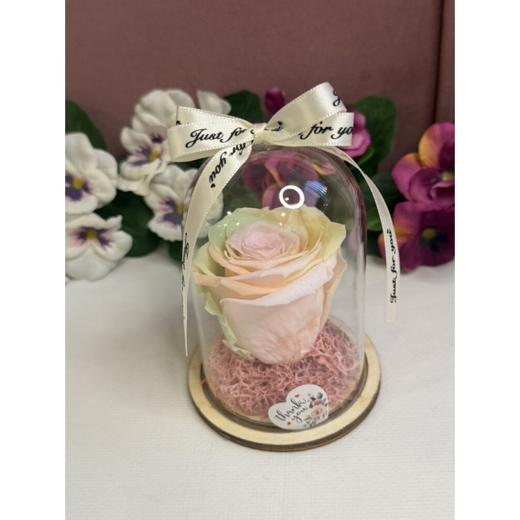 Естествена вечна роза в PVC купол W8