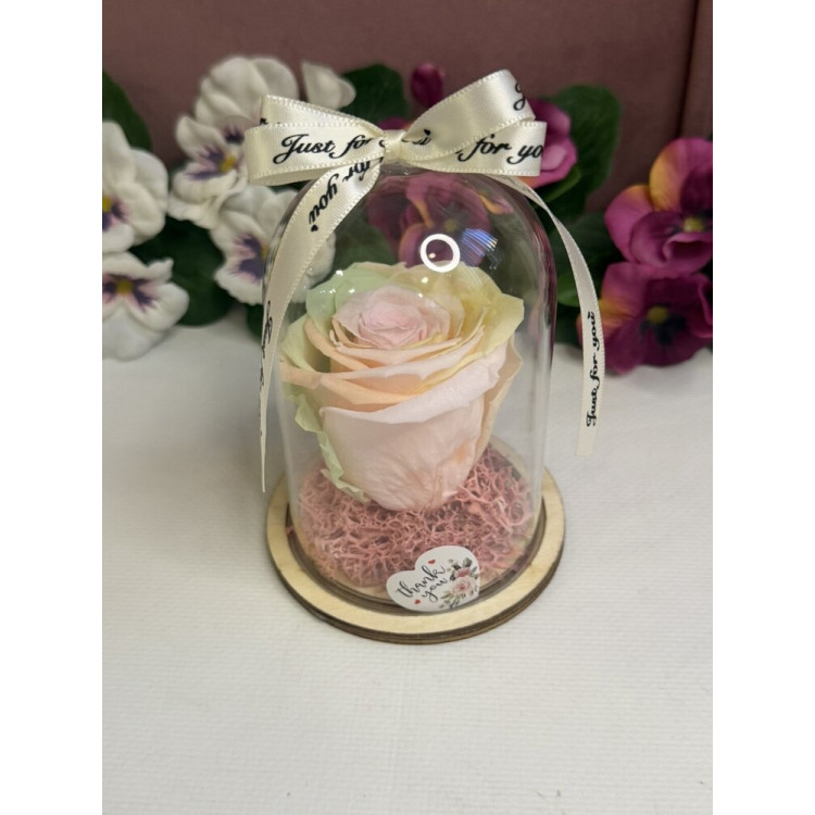 Естествена вечна роза в PVC купол W8