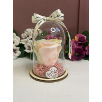 Естествена вечна роза в PVC купол W8