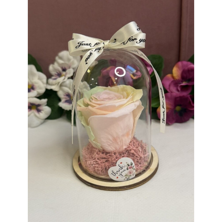 Естествена вечна роза в PVC купол W8