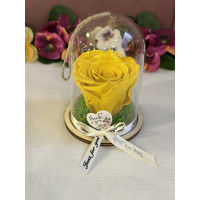 Естествена вечна роза в PVC купол Yel 02