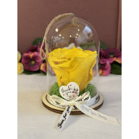 Естествена вечна роза в PVC купол Yel 02